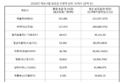 테슬라, 지난해 中 보조금 1위…시장 공략 가속페달