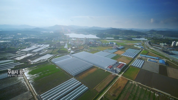 충남 부여에 위치한 우듬지팜 전경 충남 부여에 위치한 우듬지팜 전경