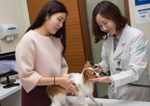 건국대가 서울시와 함께 캠퍼스타운 반려동물 문화의 거리 시범 사업을 펼친다